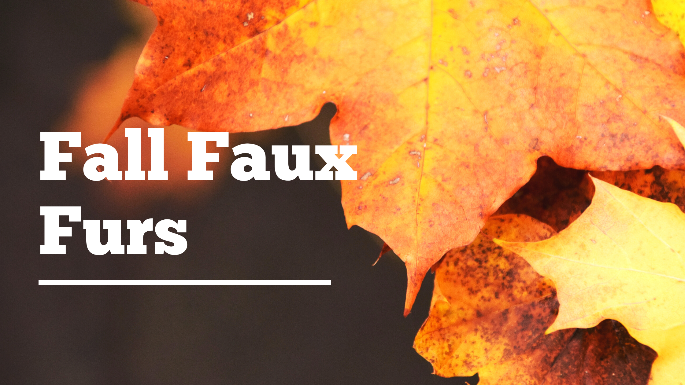 fall faux fur banners