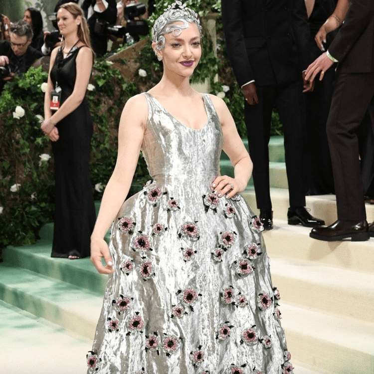 Amanday Seyfried at met gala
